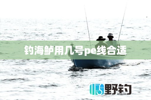钓海鲈用几号pe线合适