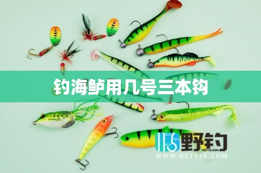 钓海鲈用几号三本钩