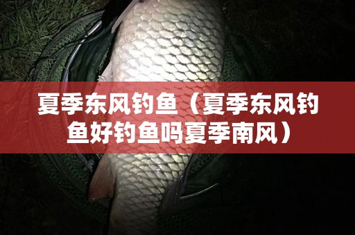 夏季东风钓鱼（夏季东风钓鱼好钓鱼吗夏季南风）