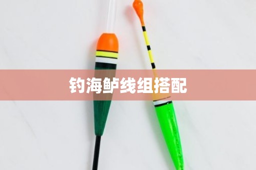 钓海鲈线组搭配