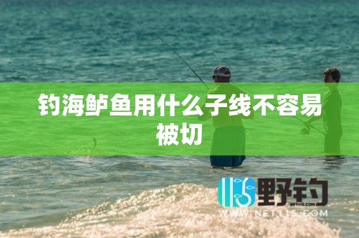 钓海鲈鱼用什么子线不容易被切