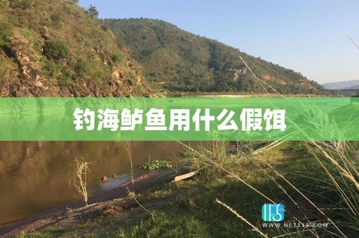 钓海鲈鱼用什么假饵