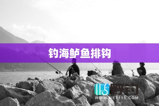 钓海鲈鱼排钩