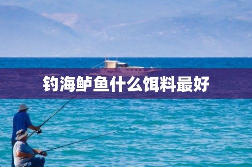 钓海鲈鱼什么饵料最好