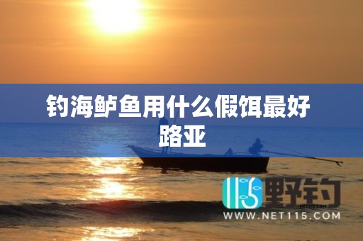 钓海鲈鱼用什么假饵最好 路亚