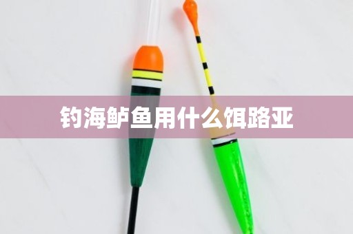 钓海鲈鱼用什么饵路亚