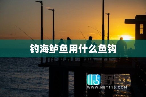 钓海鲈鱼用什么鱼钩