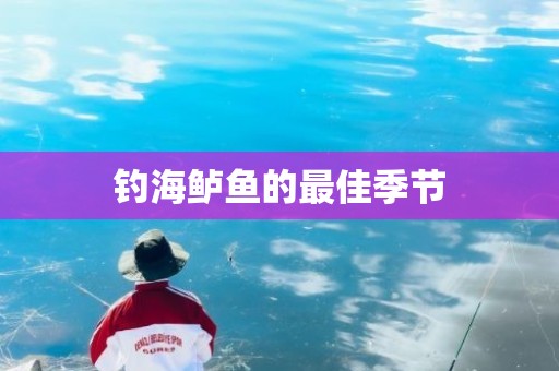 钓海鲈鱼的最佳季节