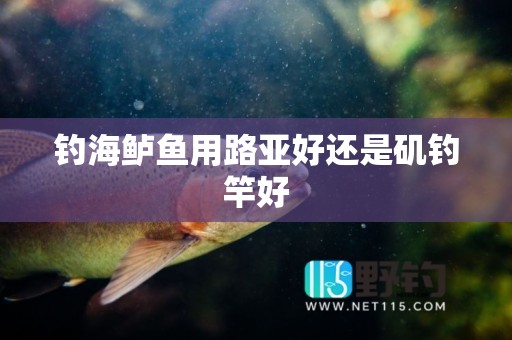 钓海鲈鱼用路亚好还是矶钓竿好