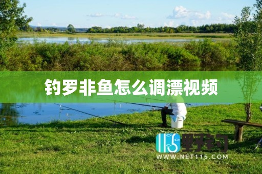 钓罗非鱼怎么调漂视频