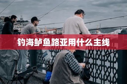 钓海鲈鱼路亚用什么主线