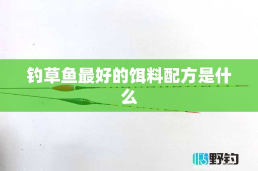 钓草鱼最好的饵料配方是什么