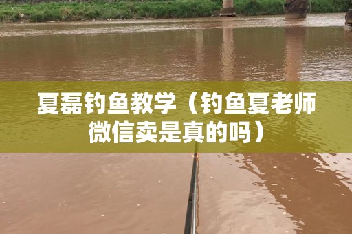 夏磊钓鱼教学（钓鱼夏老师微信卖是真的吗）