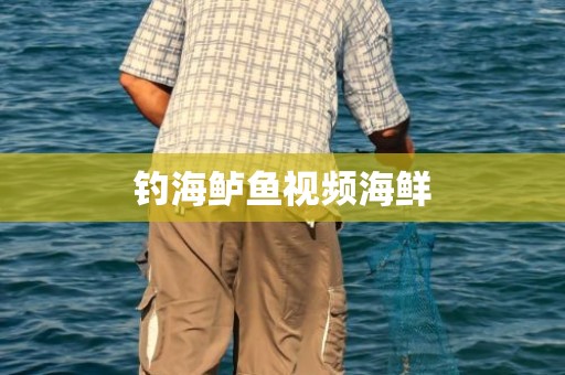 钓海鲈鱼视频海鲜