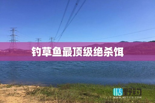 钓草鱼最顶级绝杀饵