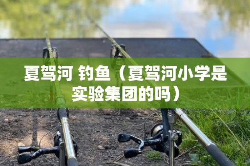 夏驾河 钓鱼（夏驾河小学是实验集团的吗）