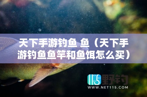 天下手游钓鱼 鱼（天下手游钓鱼鱼竿和鱼饵怎么买）