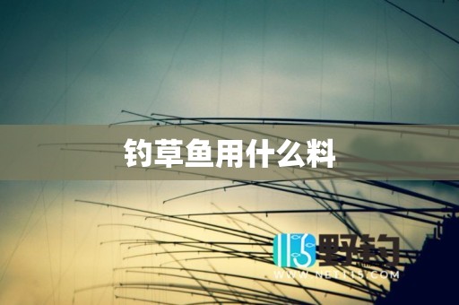 钓草鱼用什么料