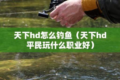 天下hd怎么钓鱼（天下hd平民玩什么职业好）