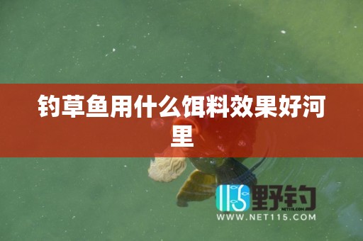 钓草鱼用什么饵料效果好河里