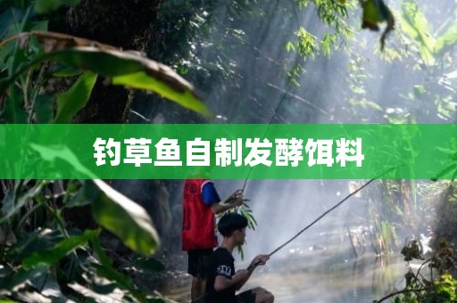 钓草鱼自制发酵饵料