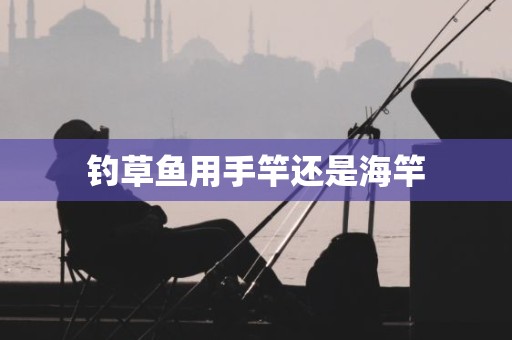 钓草鱼用手竿还是海竿