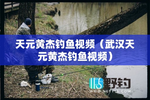 天元黄杰钓鱼视频（武汉天元黄杰钓鱼视频）