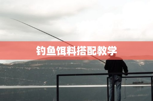 钓鱼饵料搭配教学