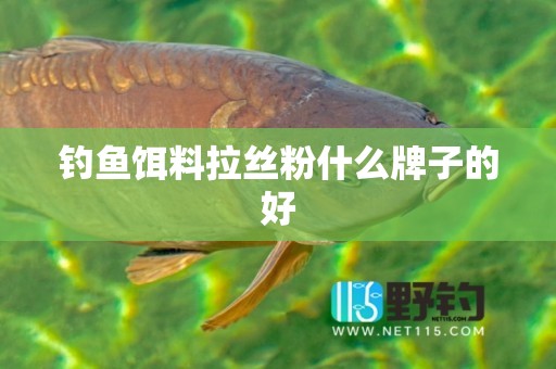 钓鱼饵料拉丝粉什么牌子的好