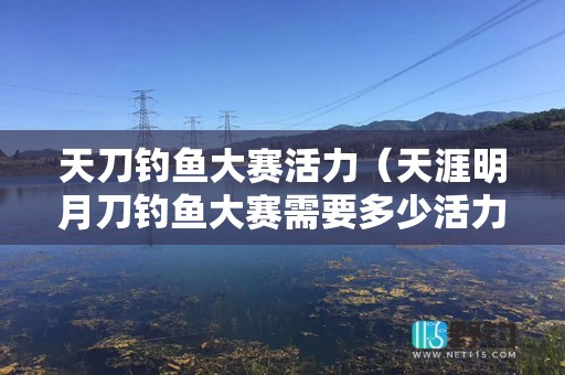 天刀钓鱼大赛活力（天涯明月刀钓鱼大赛需要多少活力）