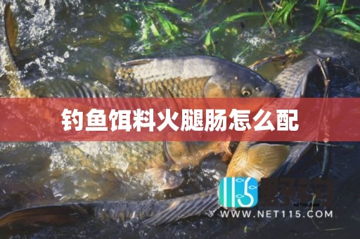 钓鱼饵料火腿肠怎么配