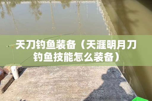 天刀钓鱼装备（天涯明月刀钓鱼技能怎么装备）