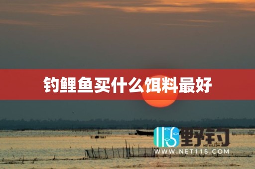 钓鲤鱼买什么饵料最好