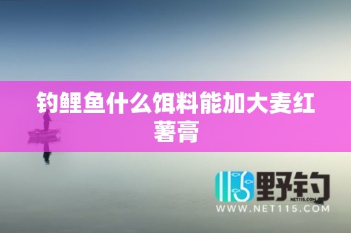 钓鲤鱼什么饵料能加大麦红薯膏