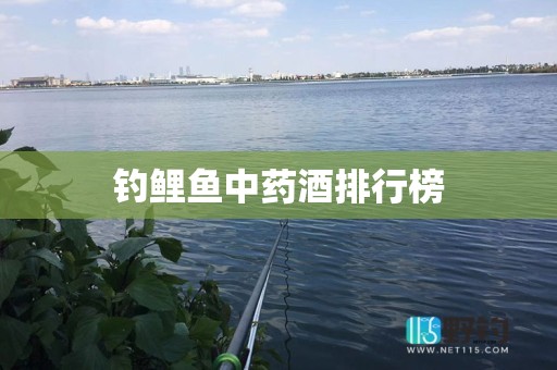 钓鲤鱼中药酒排行榜
