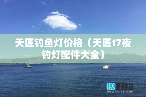 天匠钓鱼灯价格（天匠t7夜钓灯配件大全）