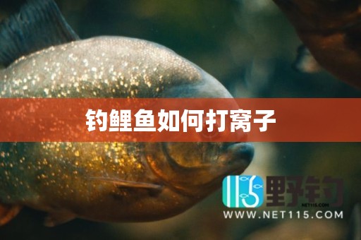 钓鲤鱼如何打窝子