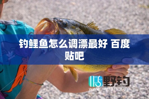 钓鲤鱼怎么调漂最好 百度贴吧