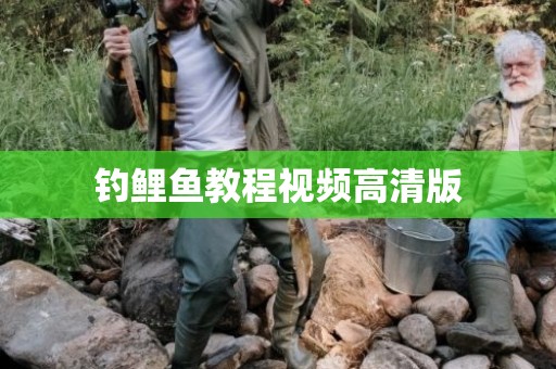 钓鲤鱼教程视频高清版