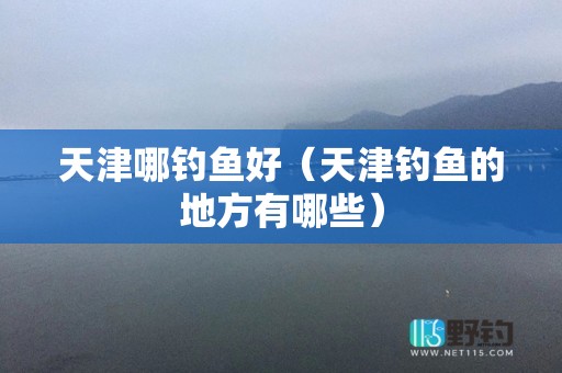 天津哪钓鱼好（天津钓鱼的地方有哪些）