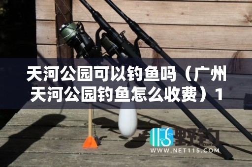 天河公园可以钓鱼吗（广州天河公园钓鱼怎么收费）1