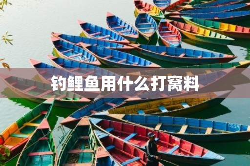 钓鲤鱼用什么打窝料