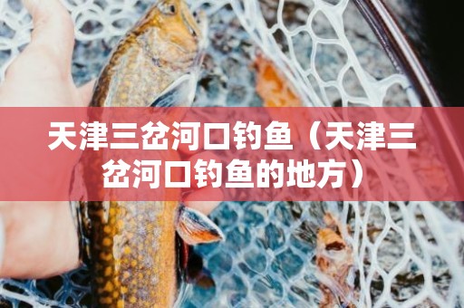 天津三岔河口钓鱼（天津三岔河口钓鱼的地方）