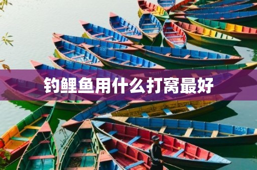 钓鲤鱼用什么打窝最好