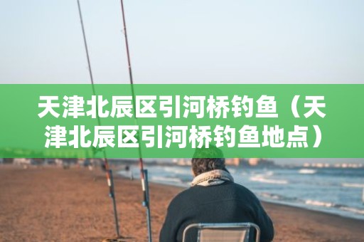 天津北辰区引河桥钓鱼（天津北辰区引河桥钓鱼地点）