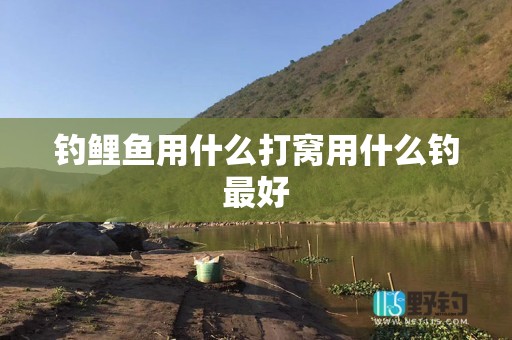 钓鲤鱼用什么打窝用什么钓最好