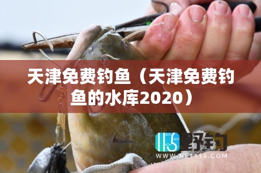 天津免费钓鱼（天津免费钓鱼的水库2020）