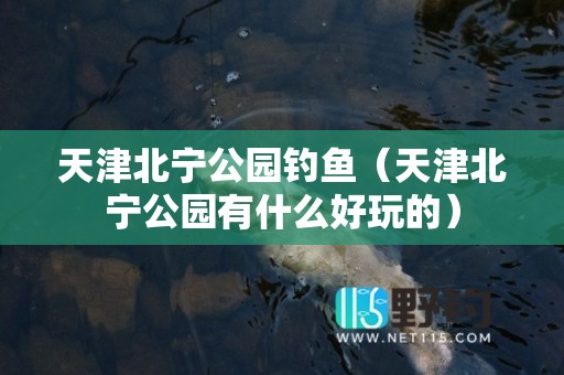 天津北宁公园钓鱼（天津北宁公园有什么好玩的）