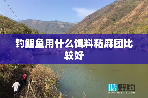 钓鲤鱼用什么饵料粘麻团比较好