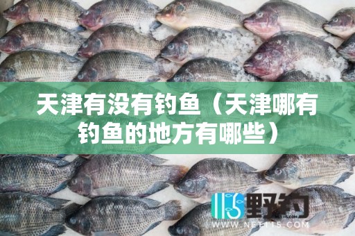天津有没有钓鱼（天津哪有钓鱼的地方有哪些）